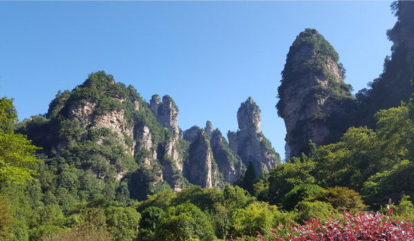 Winchen Enterprise Team Building: Zhangjiajie+Fenghuang Ancient City Tour